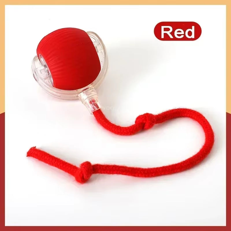 Newspeedy Tail 2.0 Cat Toy, Speedy Tail Cat Toy, Interactive Cat Ball Toy, Smart Cat Toys Ball, Two Speed Adjustment, with Tail