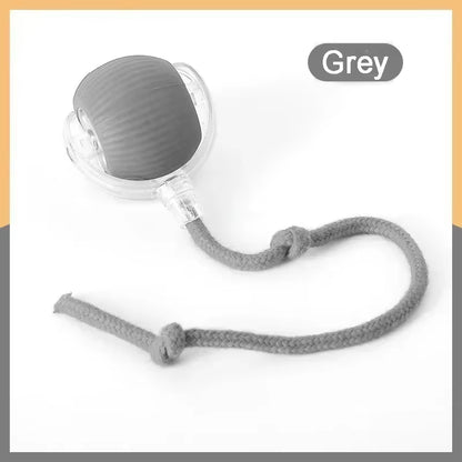 Newspeedy Tail 2.0 Cat Toy, Speedy Tail Cat Toy, Interactive Cat Ball Toy, Smart Cat Toys Ball, Two Speed Adjustment, with Tail